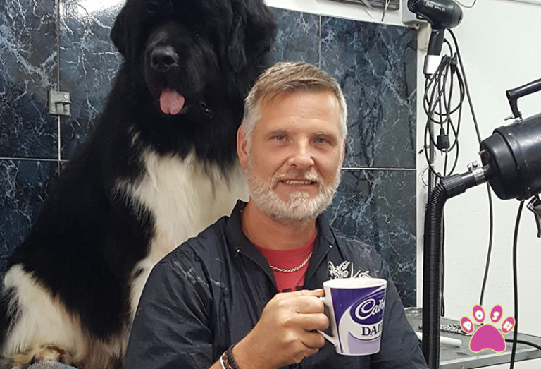 Posh Pets Dog Grooming Courses in Spain Dog training courses in the